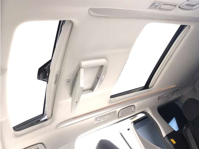 2010 Toyota Vellfire – thumbnail 2