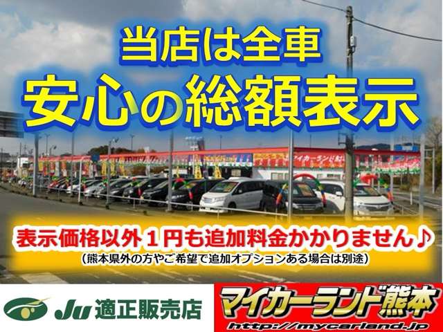 2009 Daihatsu Copen – thumbnail 2