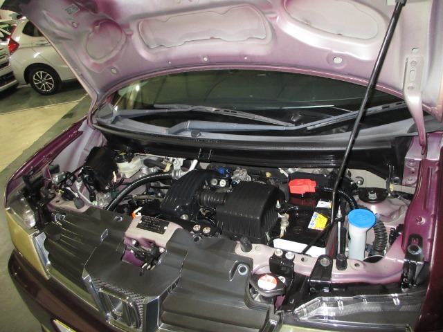 2010 Honda Zest – thumbnail 4