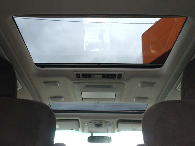 2010 Toyota Alphard – thumbnail 4