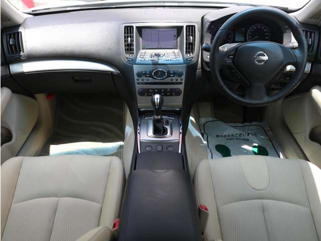 2010 Nissan Skyline – thumbnail 4