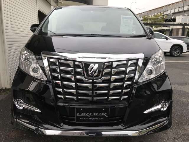 2008 Toyota Alphard – thumbnail 2