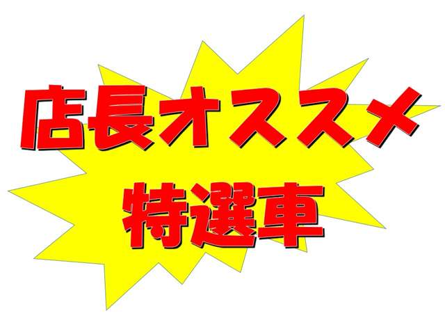 2009 Nissan Elgrand – thumbnail 2