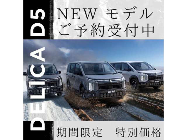 2009 Mitsubishi Delica D:5 – thumbnail 2