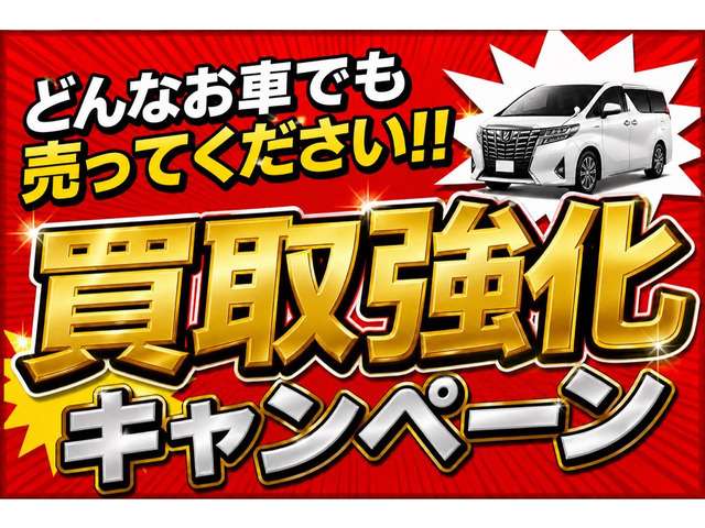 2007 Nissan Skyline – thumbnail 2