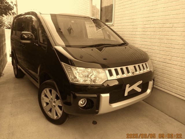 2010 Mitsubishi Delica D:5