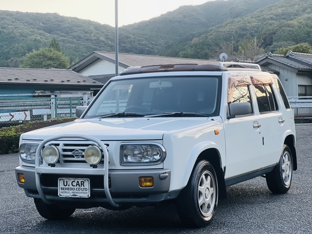 1995 Nissan Rasheen