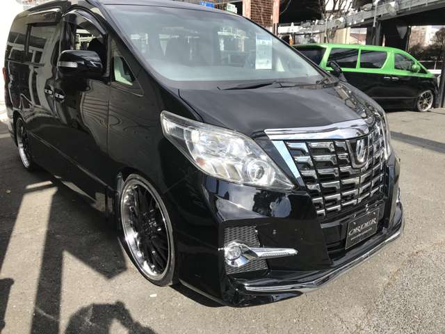 2009 Toyota Alphard – thumbnail 4