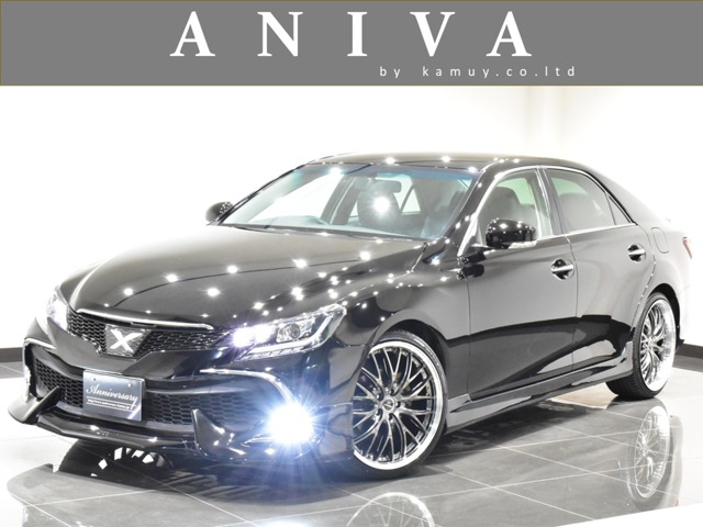 2010 Toyota Mark X