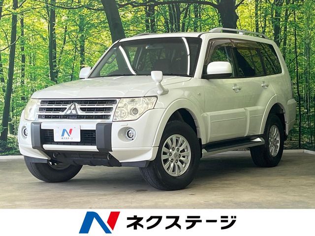 2010 Mitsubishi Pajero