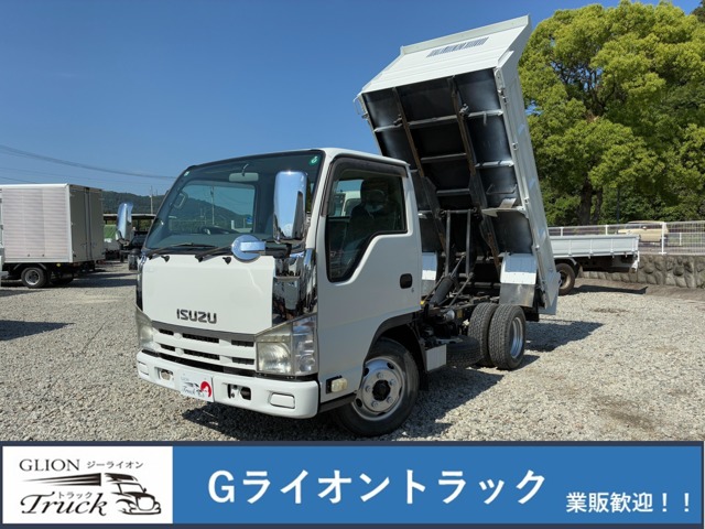 2010 Isuzu Elf