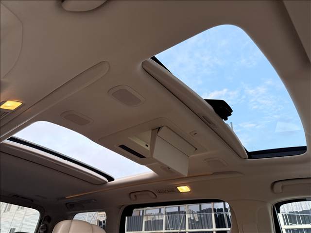 2008 Toyota Alphard – thumbnail 4