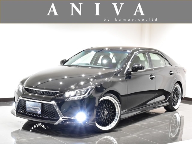 2010 Toyota Mark X