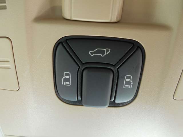 2010 Toyota Alphard – thumbnail 4