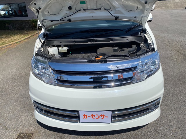 2009 Nissan Serena – thumbnail 2