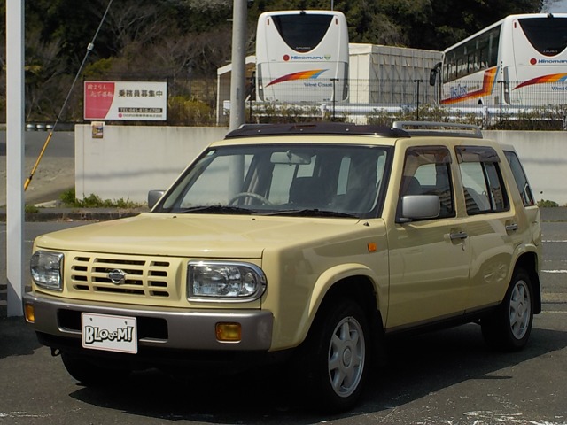 1995 Nissan Rasheen