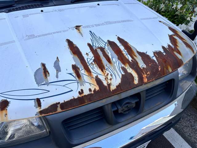 1999 Nissan Datsun – thumbnail 2