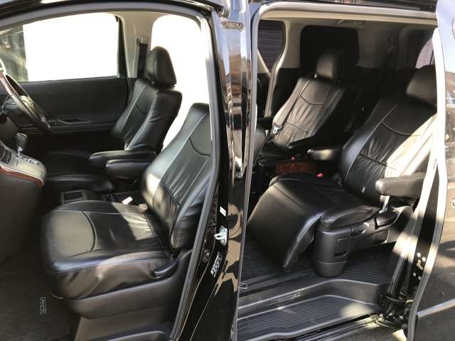 2010 Toyota Alphard – thumbnail 3