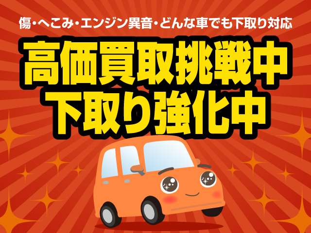 1993 Toyota Land Cruiser 80 – thumbnail 3