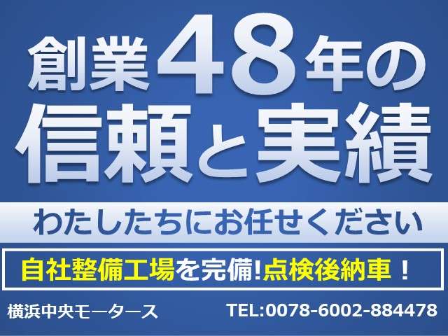 2008 Toyota Alphard – thumbnail 2