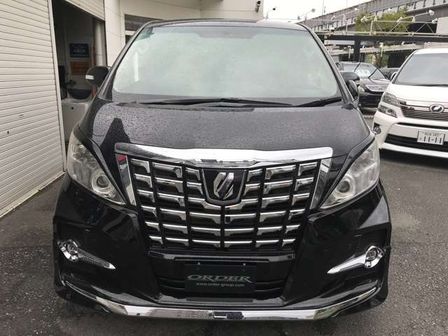 2010 Toyota Alphard – thumbnail 2