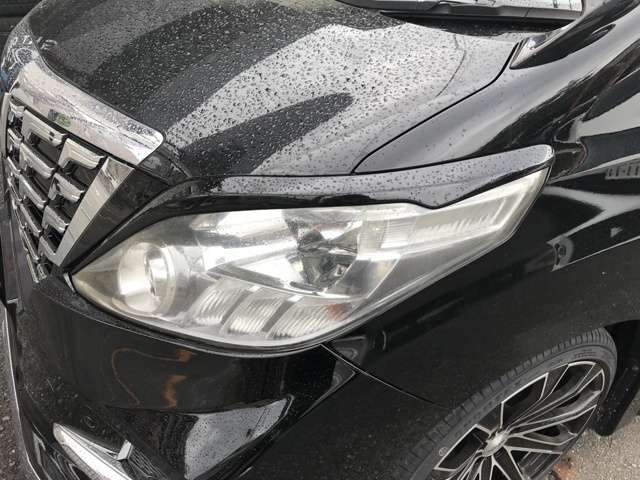 2010 Toyota Alphard – thumbnail 3