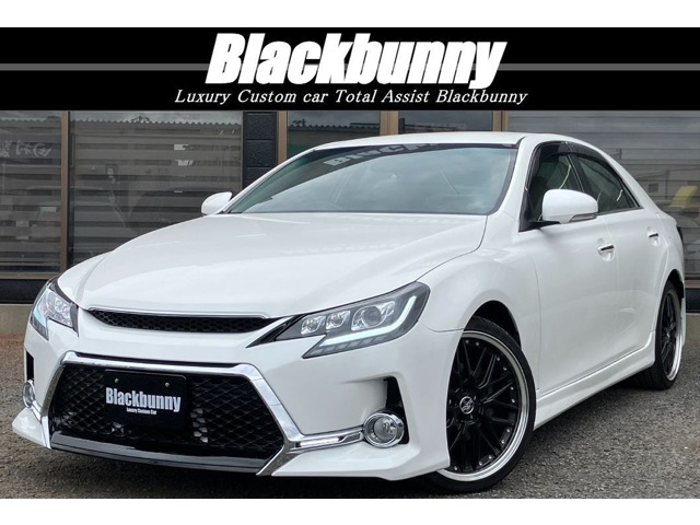 2010 Toyota Mark X