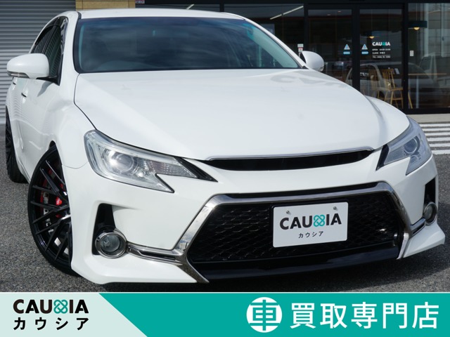 2010 Toyota Mark X