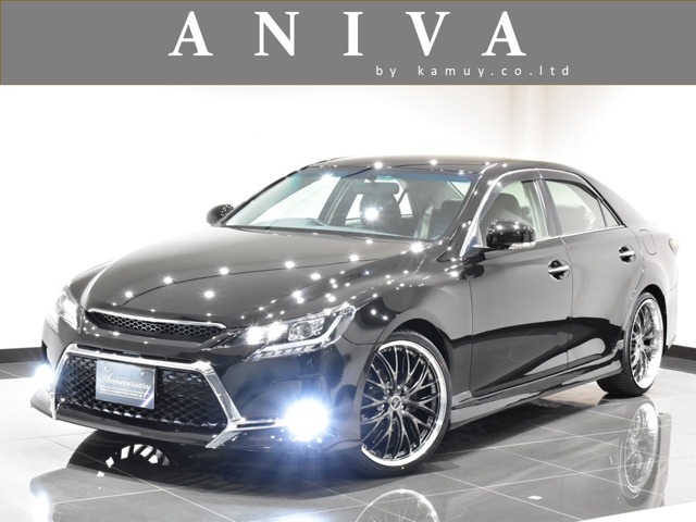 2010 Toyota Mark X