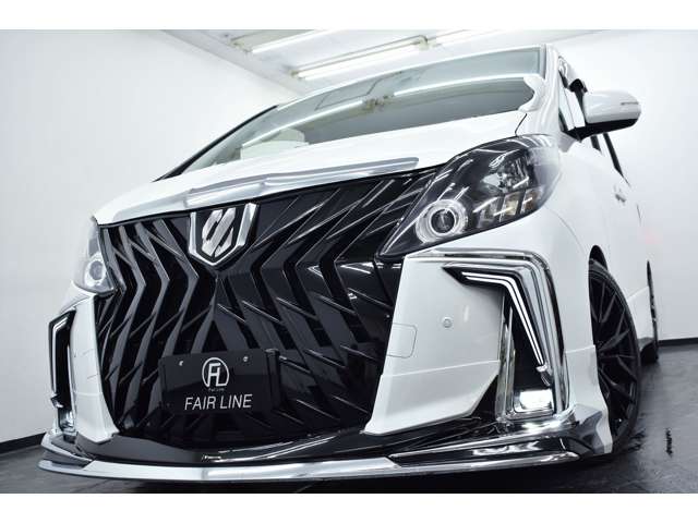 2009 Toyota Alphard – thumbnail 4