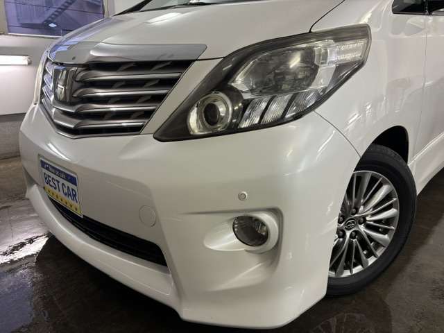2010 Toyota Alphard – thumbnail 2