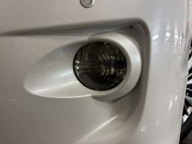 2010 Toyota Alphard – thumbnail 4