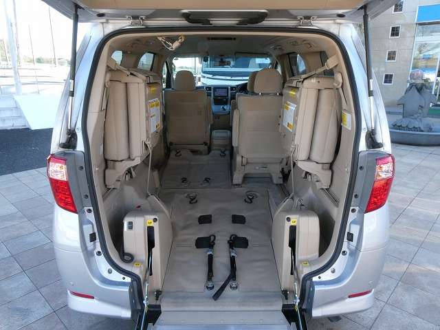 2010 Toyota Alphard – thumbnail 2