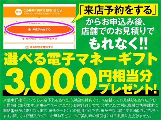 2009 Honda Freed – thumbnail 2