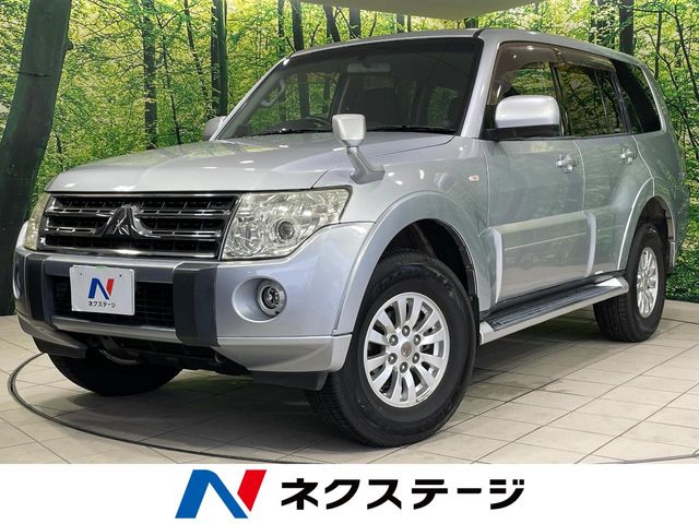 2010 Mitsubishi Pajero