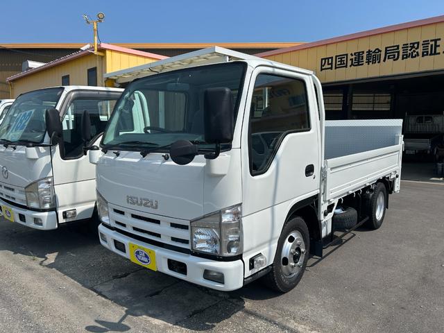 2010 Isuzu Elf
