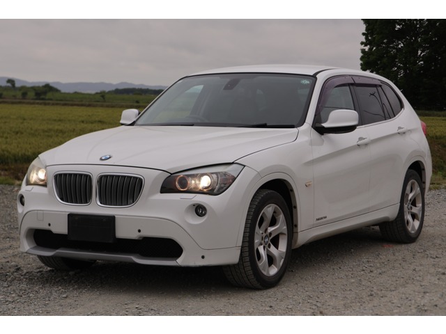 2010 BMW X1