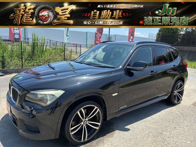 2011 BMW X1