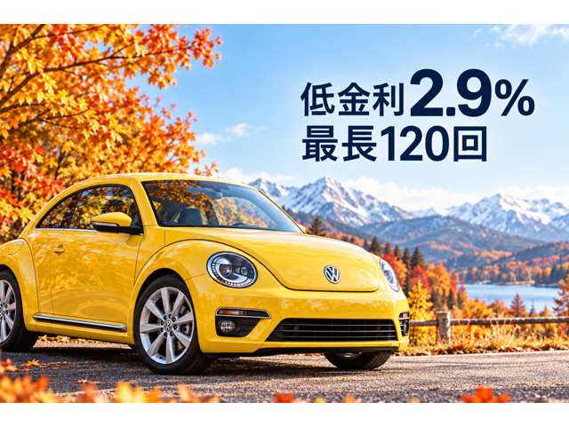 2006 Volkswagen Golf – thumbnail 2