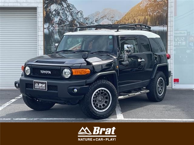 2011 Toyota FJ Cruiser