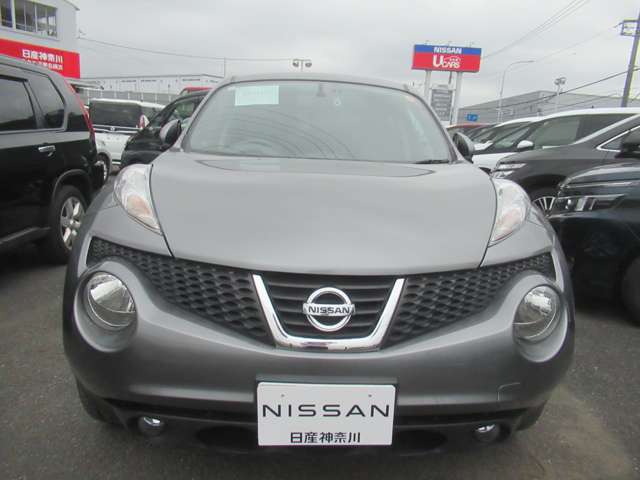 2011 Nissan Juke – thumbnail 2