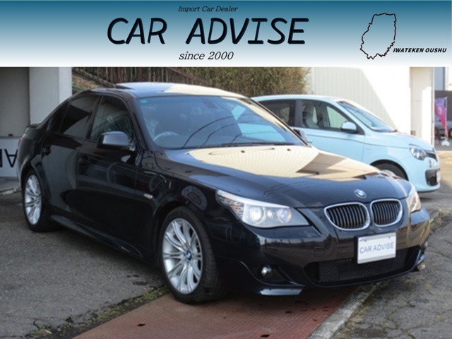 2010 BMW 5 Series