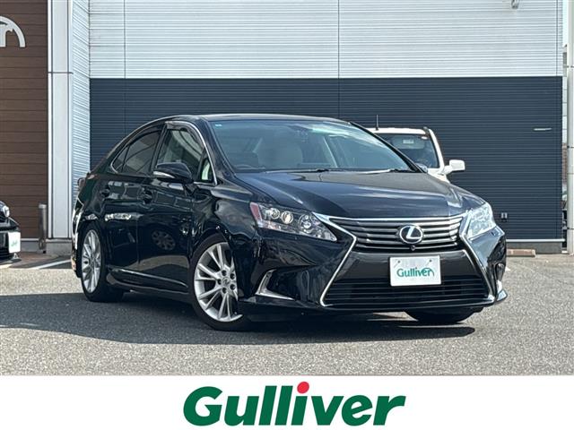 2009 Lexus HS