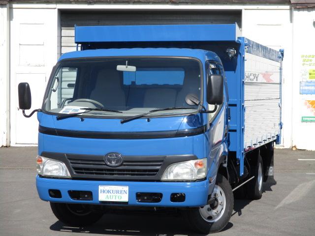 2007 Toyota Dyna
