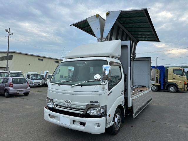 2008 Toyota Dyna
