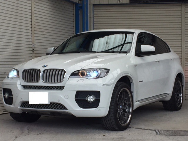 2009 BMW X6