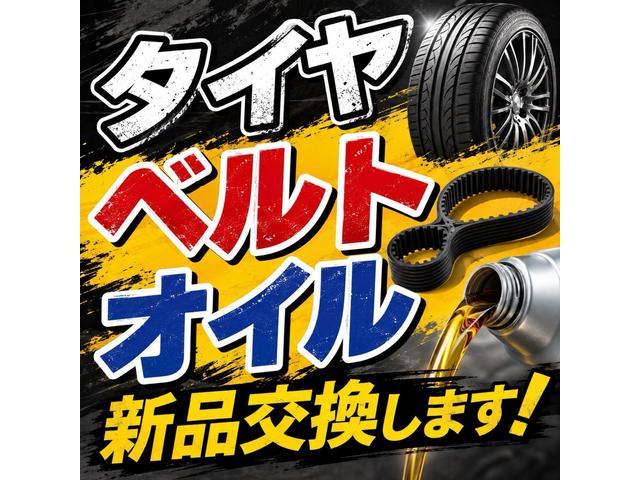 2011 Toyota Dyna – thumbnail 2