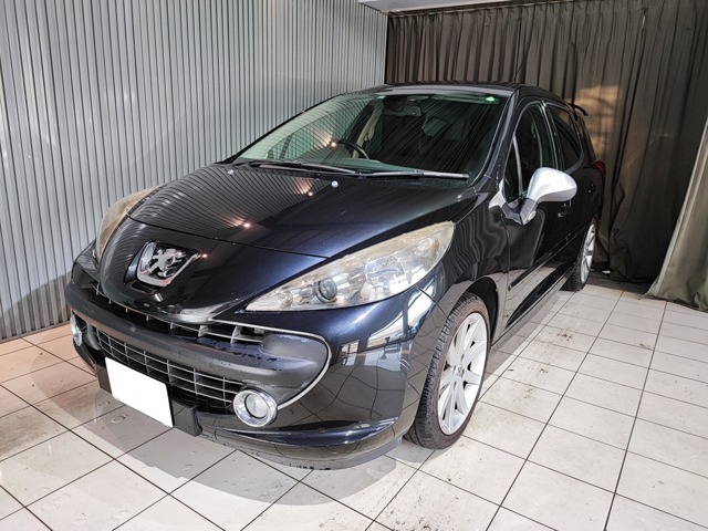 2009 Peugeot 207SW