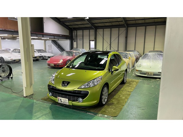 2007 Peugeot 207