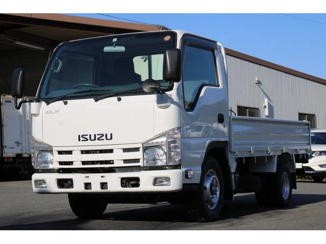 2010 Isuzu Elf